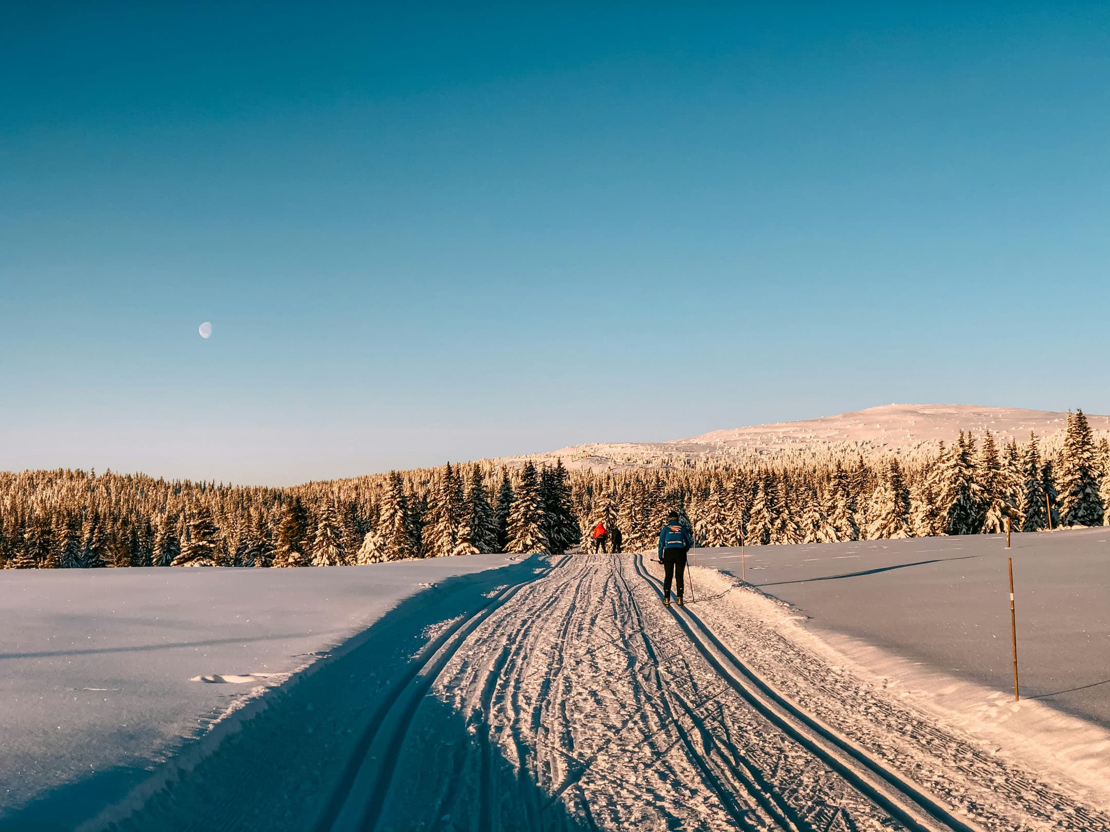 Solveig Smordal Botn Ge8hxr2scge Unsplash
